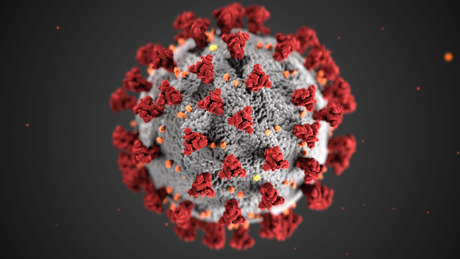 Image of Corona Virus